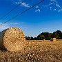 Hay Bales