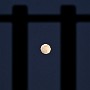 NewMoon